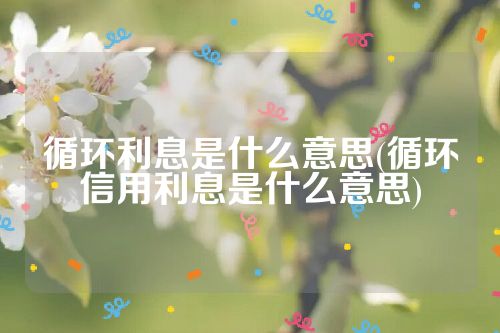 循环利息是什么意思(循环信用利息是什么意思)