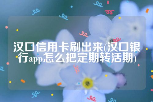 汉口信用卡刷出来(汉口银行app怎么把定期转活期)