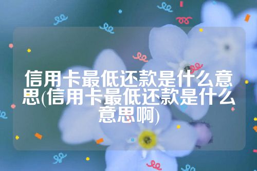 信用卡最低还款是什么意思(信用卡最低还款是什么意思啊)