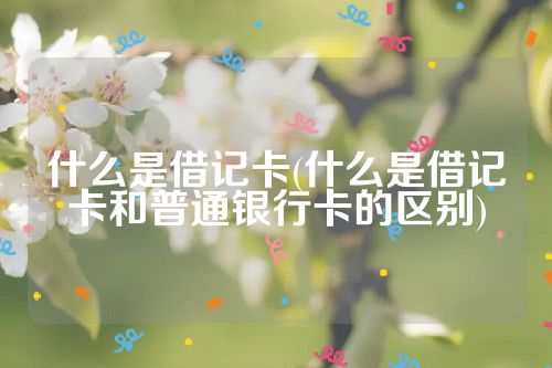 什么是借记卡(什么是借记卡和普通银行卡的区别)