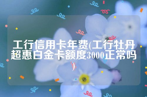 工行信用卡年费(工行牡丹超惠白金卡额度3000正常吗)