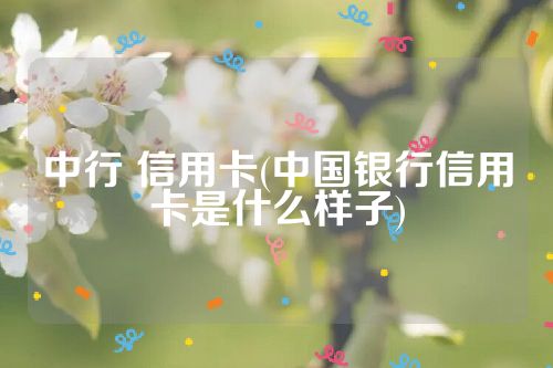 中行 信用卡(中国银行信用卡是什么样子)