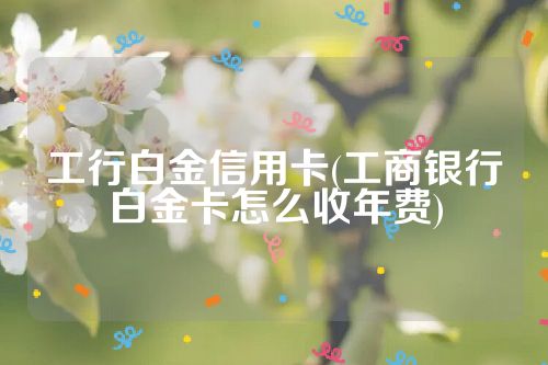 工行白金信用卡(工商银行白金卡怎么收年费)