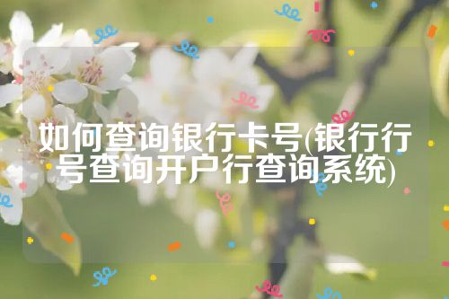 如何查询银行卡号(银行行号查询开户行查询系统)