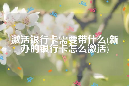 激活银行卡需要带什么(新办的银行卡怎么激活)