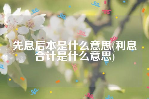 先息后本是什么意思(利息合计是什么意思)