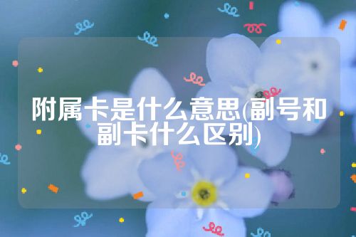 附属卡是什么意思(副号和副卡什么区别)