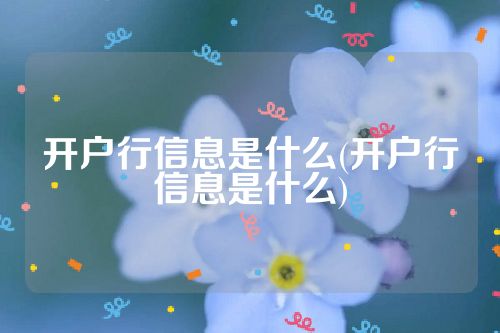 开户行信息是什么(开户行信息是什么)