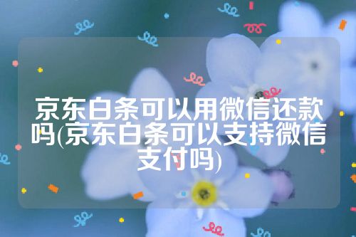 京东白条可以用微信还款吗(京东白条可以支持微信支付吗)