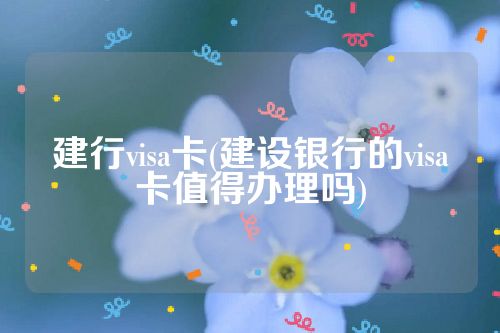 建行visa卡(建设银行的visa卡值得办理吗)