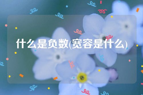 什么是负数(宽容是什么)