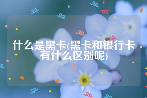 什么是黑卡(黑卡和银行卡有什么区别呢)