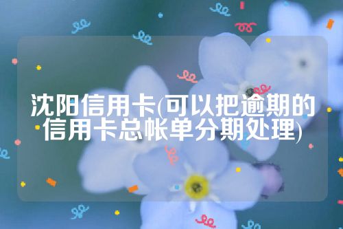 沈阳信用卡(可以把逾期的信用卡总帐单分期处理)