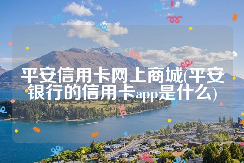 平安信用卡网上商城(平安银行的信用卡app是什么)