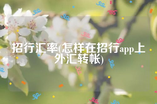 招行汇率(怎样在招行app上外汇转帐)