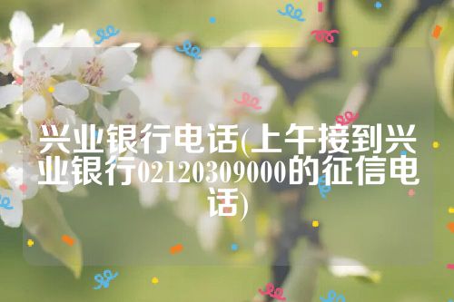 兴业银行电话(上午接到兴业银行02120309000的征信电话)