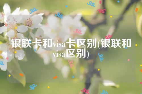 银联卡和visa卡区别(银联和visa区别)