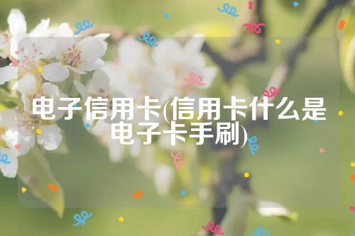 电子信用卡(信用卡什么是电子卡手刷)