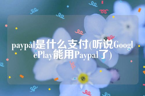 paypal是什么支付(听说GooglePlay能用Paypal了)