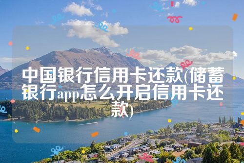 中国银行信用卡还款(储蓄银行app怎么开启信用卡还款)