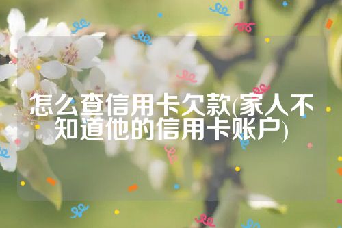 怎么查信用卡欠款(家人不知道他的信用卡账户)