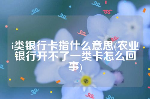 i类银行卡指什么意思(农业银行开不了一类卡怎么回事)