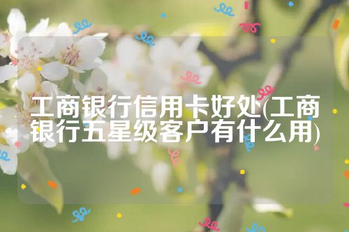 工商银行信用卡好处(工商银行五星级客户有什么用)