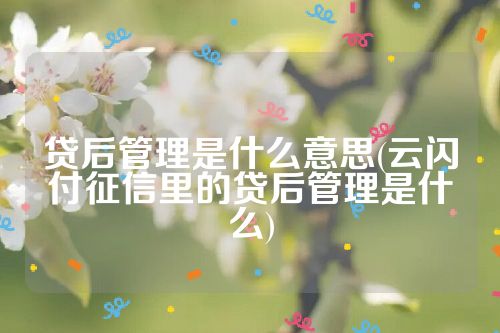 贷后管理是什么意思(云闪付征信里的贷后管理是什么)