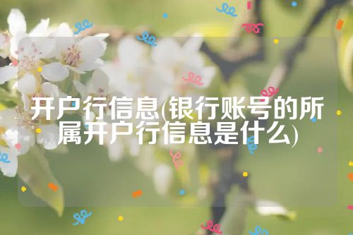 开户行信息(银行账号的所属开户行信息是什么)