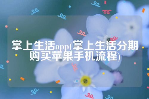 掌上生活app(掌上生活分期购买苹果手机流程)