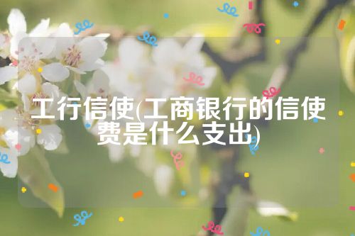 工行信使(工商银行的信使费是什么支出)