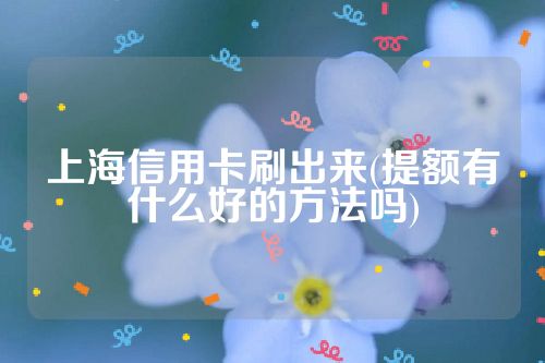 上海信用卡刷出来(提额有什么好的方法吗)