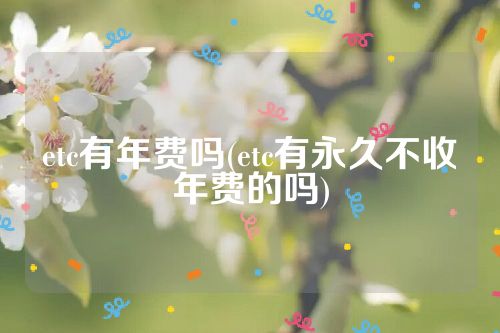 etc有年费吗(etc有永久不收年费的吗)