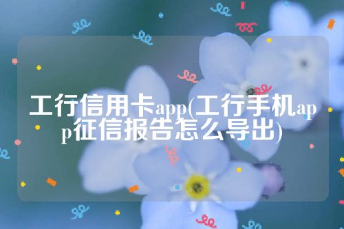 工行信用卡app(工行手机app征信报告怎么导出)