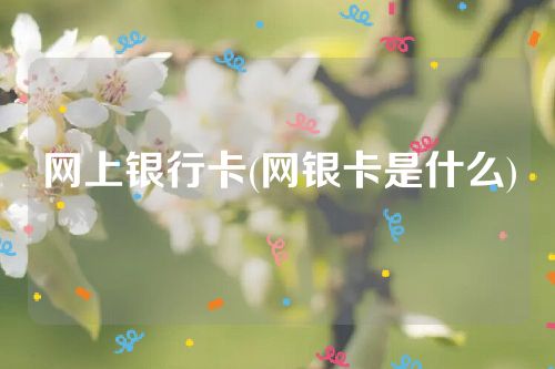 网上银行卡(网银卡是什么)