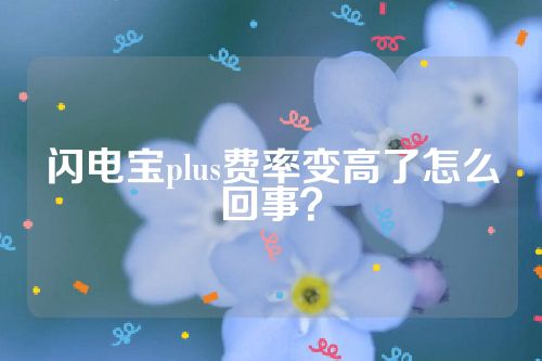 闪电宝plus费率变高了怎么回事？