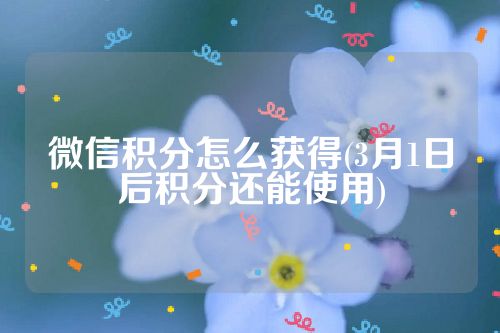 微信积分怎么获得(3月1日后积分还能使用)