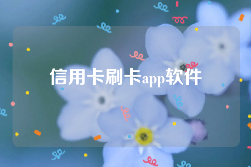 信用卡刷卡app软件，银联认证闪闪宝plus