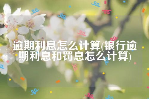 逾期利息怎么计算(银行逾期利息和罚息怎么计算)