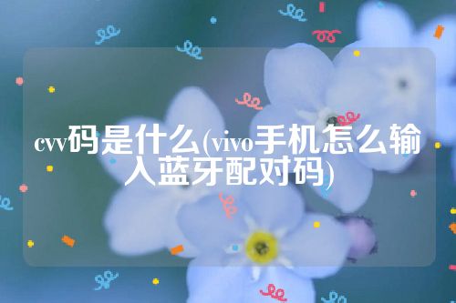 cvv码是什么(vivo手机怎么输入蓝牙配对码)