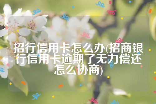 招行信用卡怎么办(招商银行信用卡逾期了无力偿还怎么协商)