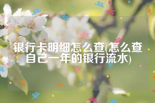 银行卡明细怎么查(怎么查自己一年的银行流水)