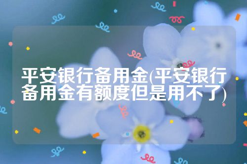 平安银行备用金(平安银行备用金有额度但是用不了)