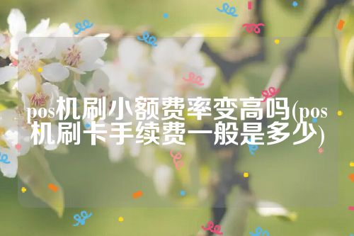 pos机刷小额费率变高吗(pos机刷卡手续费一般是多少)