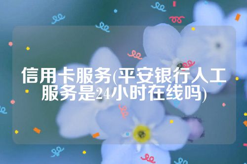 信用卡服务(平安银行人工服务是24小时在线吗)