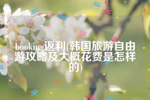 booking返利(韩国旅游自由游攻略及大概花费是怎样的)