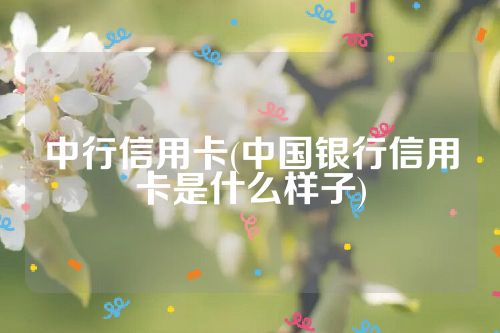 中行信用卡(中国银行信用卡是什么样子)