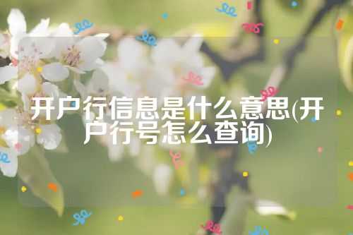 开户行信息是什么意思(开户行号怎么查询)