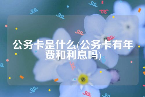 公务卡是什么(公务卡有年费和利息吗)