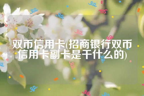 双币信用卡(招商银行双币信用卡副卡是干什么的)